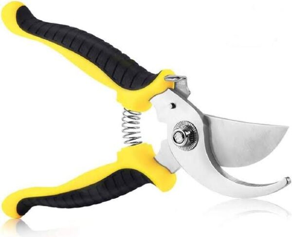 Pruning Secateurs