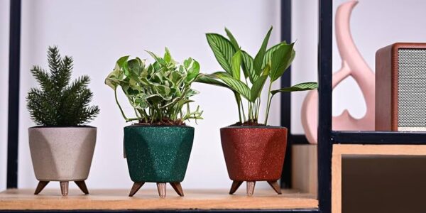 Self watering pot - 5 inch Diameter  4 inch Height - Image 2